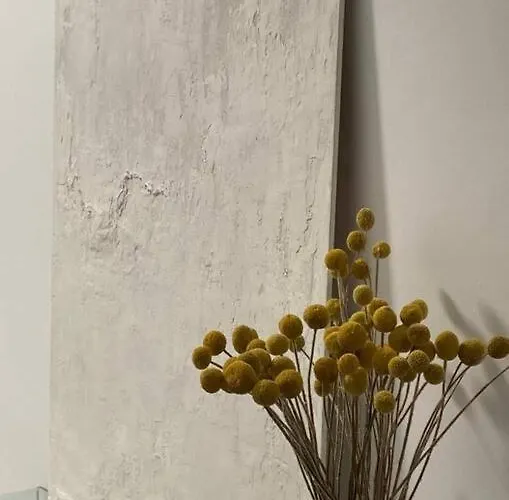 Apartmán Elegante Centrico